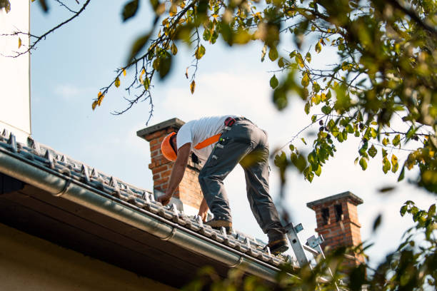 Best Roof Gutter Cleaning  in Heartland, TX
